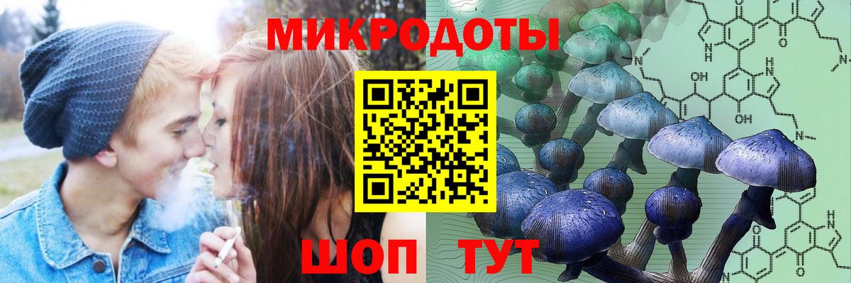 Псилоцибиновые грибы прущие грибы  Псилоцибиновые грибы Cubensis  цены   Магадан  Вход с VPN 